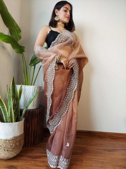 Organza  Sarees Rvsg Sanskruti Sequence  Saree