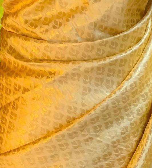 Banarasi Soft Silk  Ras 45119 Silk Sarees  Banarasi Silk Soft Silk Heavy Silk Sarees