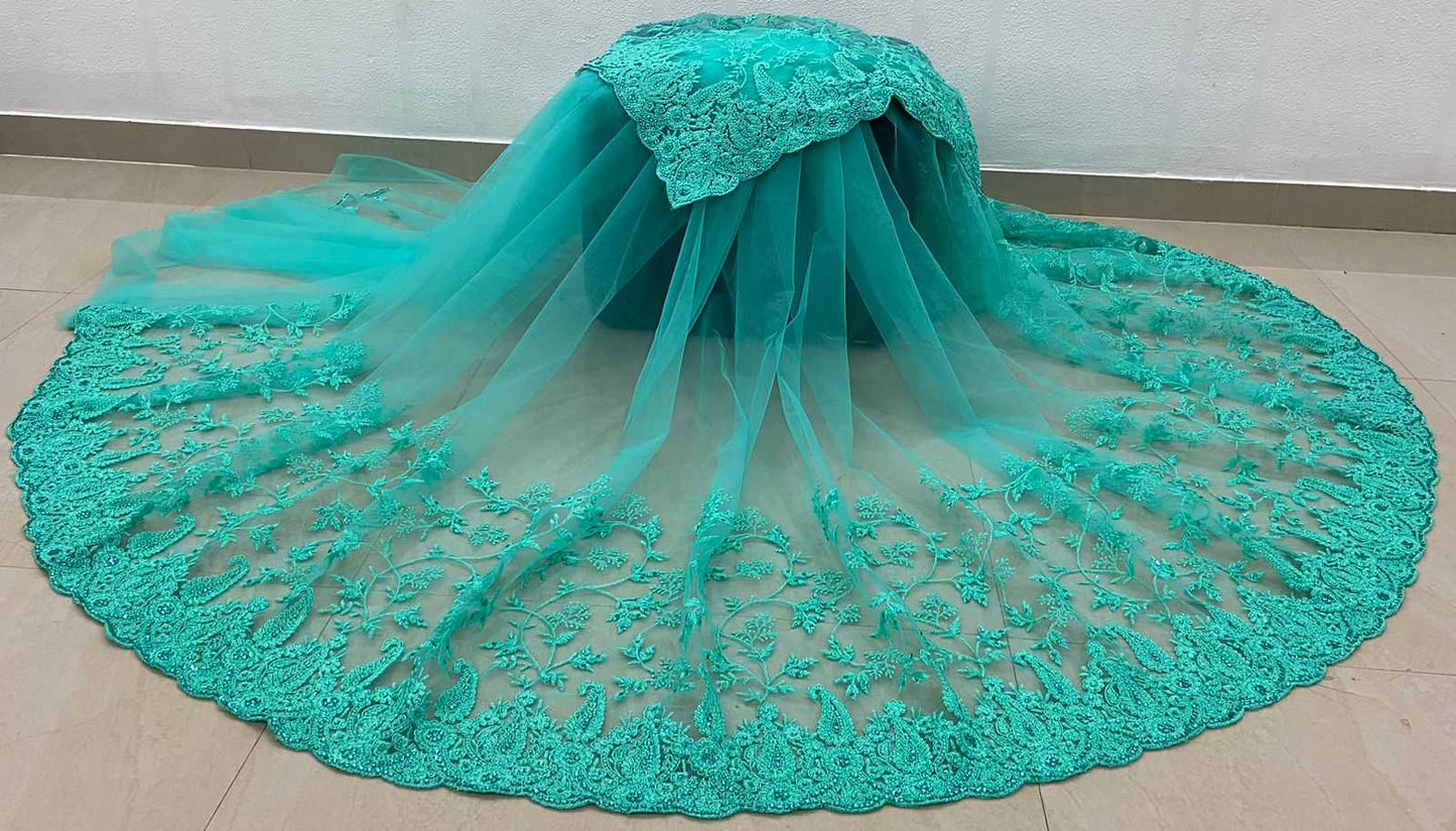 Butterfly Net Rbc 24 Sarees  Party Wear Net Embroidered Sarees