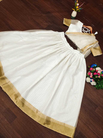 Organza Kesh188 9195 Lehengas  Traditional Simple White Lehengas