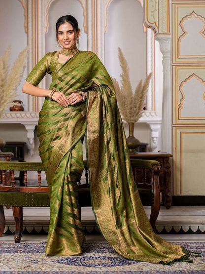 Organza Ral 1001 Sarees  Organza Party Wear Fancy Sarees