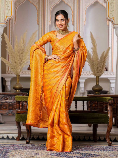 Organza Ral 1002 Sarees  Organza Fancy Ladies Sarees