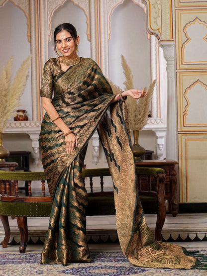 Organza Ral 1002 Sarees  Organza Fancy Ladies Sarees