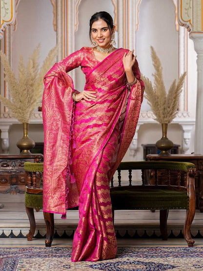 Organza Ral 1002 Sarees  Organza Fancy Ladies Sarees