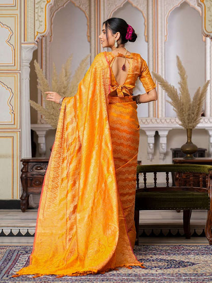 Organza Ral 1002 Sarees  Organza Fancy Ladies Sarees