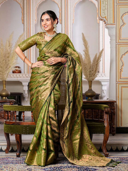 Organza Ral 1002 Sarees  Organza Fancy Ladies Sarees