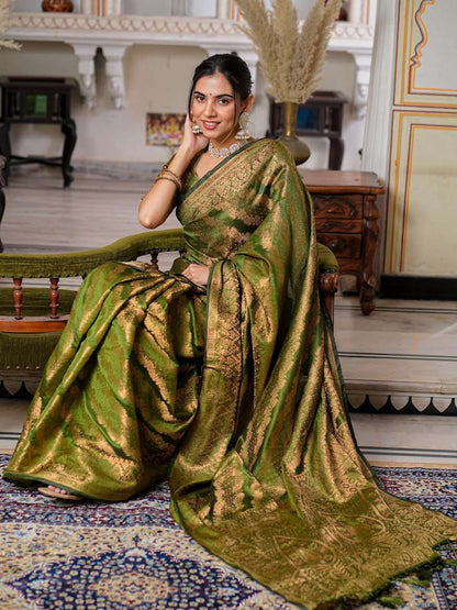 Organza Ral 1002 Sarees  Organza Fancy Ladies Sarees