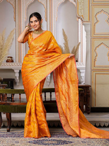 Organza Ral 1002 Sarees  Organza Fancy Ladies Sarees