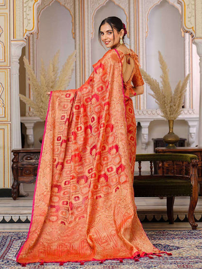 Organza Ral 1003 Sarees  Organza Fancy Ladies Sarees