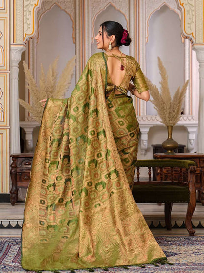 Organza Ral 1003 Sarees  Organza Fancy Ladies Sarees