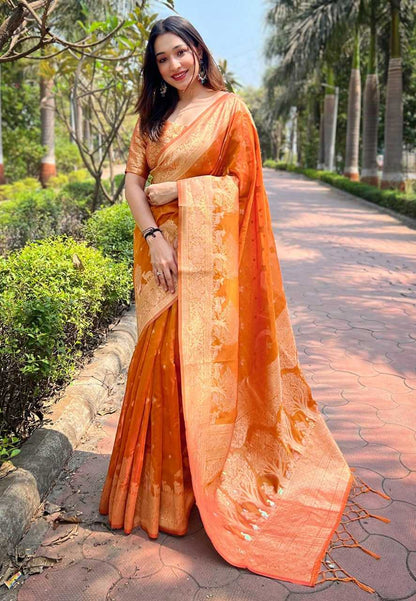 Organza Rew 3368 Sarees  Organza Fancy Zari Border Sarees