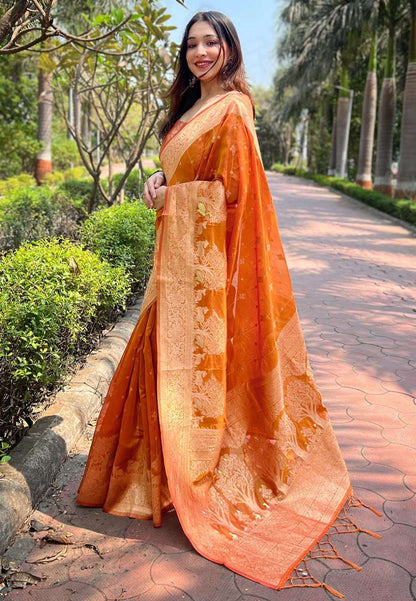 Organza Rew 3368 Sarees  Organza Fancy Zari Border Sarees