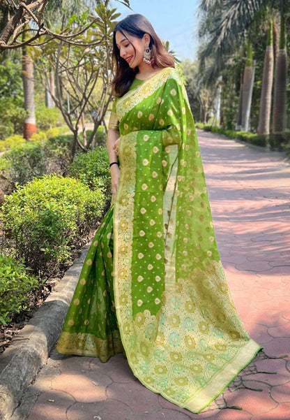 Organza Rew 3451 Sarees  Organza Fancy Zari Border Sarees