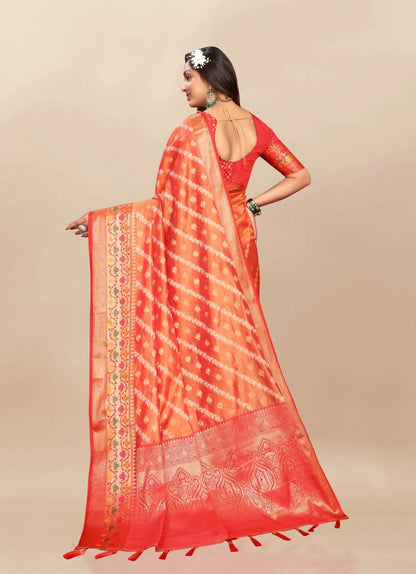 Organza Rmnx- 313  Sarees