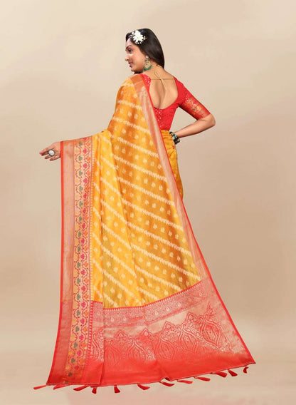 Organza Rmnx- 313  Sarees