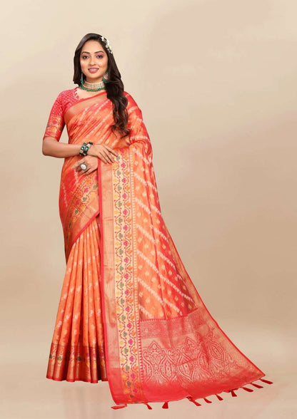 Organza Rmnx- 313  Sarees