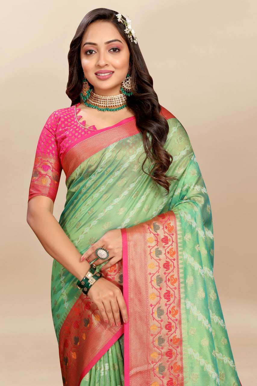 Organza Rmnx- 313  Sarees