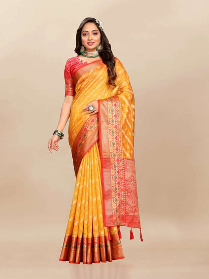 Organza Rmnx- 313  Sarees