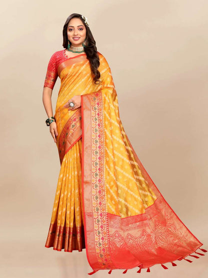 Organza Rmnx- 313  Sarees