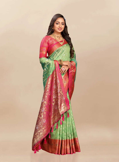 Organza Rmnx- 315  Sarees