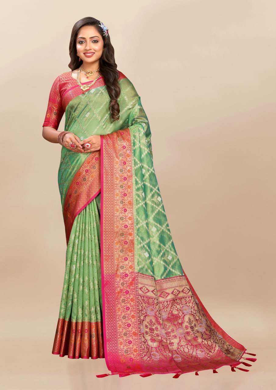 Organza Rmnx- 315  Sarees