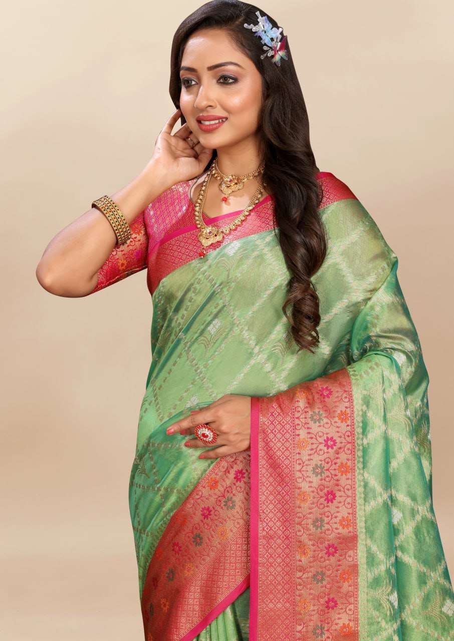 Organza Rmnx- 315  Sarees