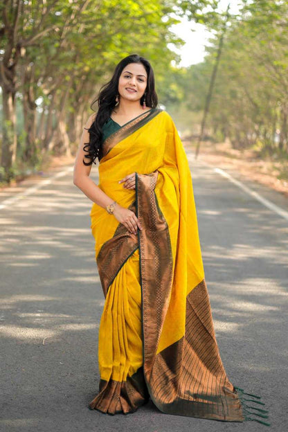 Soft Silk Rgk 29 Silk Sarees  Soft Silk Pattu Traditional Sarees