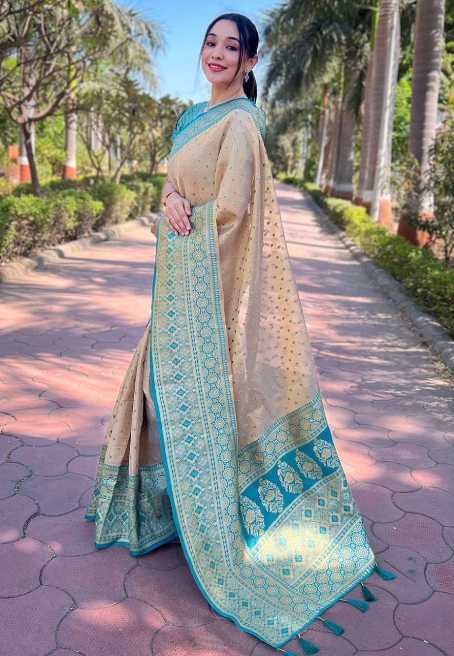 Tissue Rew 3227 Sarees  Tissue Silk Zari Border Sarees