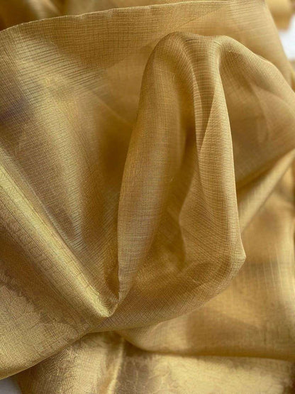 Tissue Silk Rgk 06 Sarees  Tissue Silk Plain Solid Sarees E